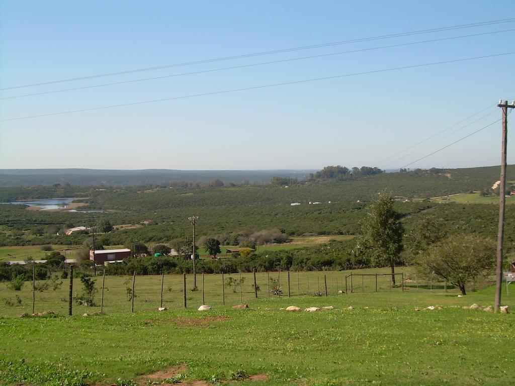 The Hexagon Wildlife Conservation Ξενοδοχείο Uitenhage Εξωτερικό φωτογραφία